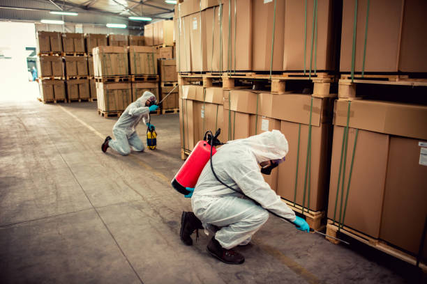 Best Mosquito Control Services  in Johnson City, NY