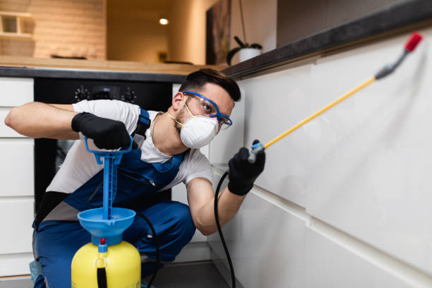 Best Commercial Pest Control Services  in Johnson City, NY