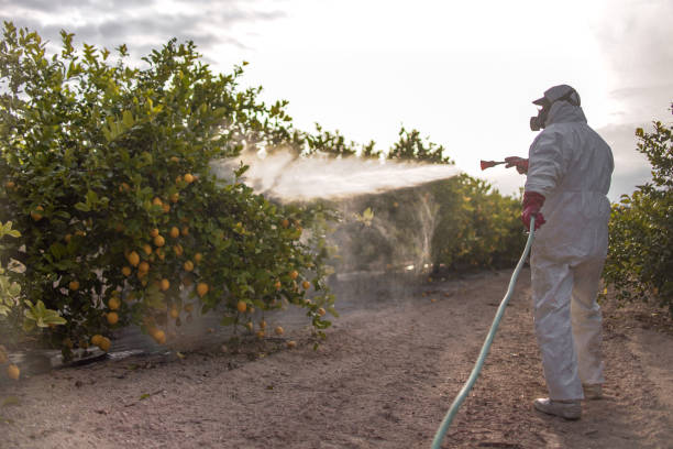 Best Commercial Pest Control Services  in Johnson City, NY