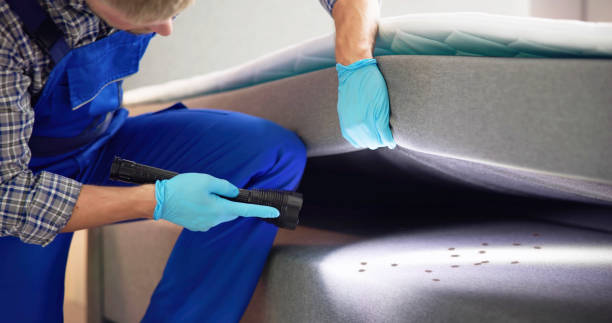 Best Residential Pest Control  in Johnson City, NY