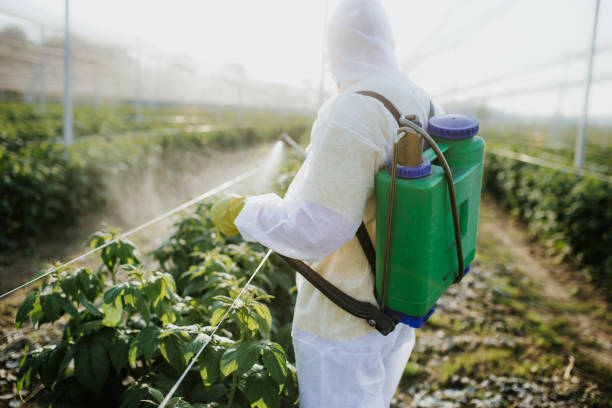 Best Pest Prevention Services  in Johnson City, NY